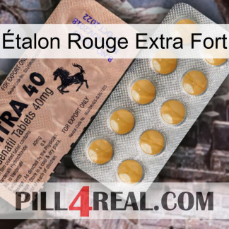 Étalon Rouge Extra Fort 41